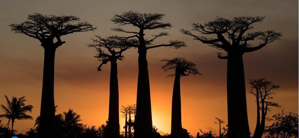 Madagascar